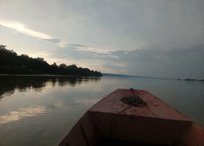 Kizde * ネゴティン